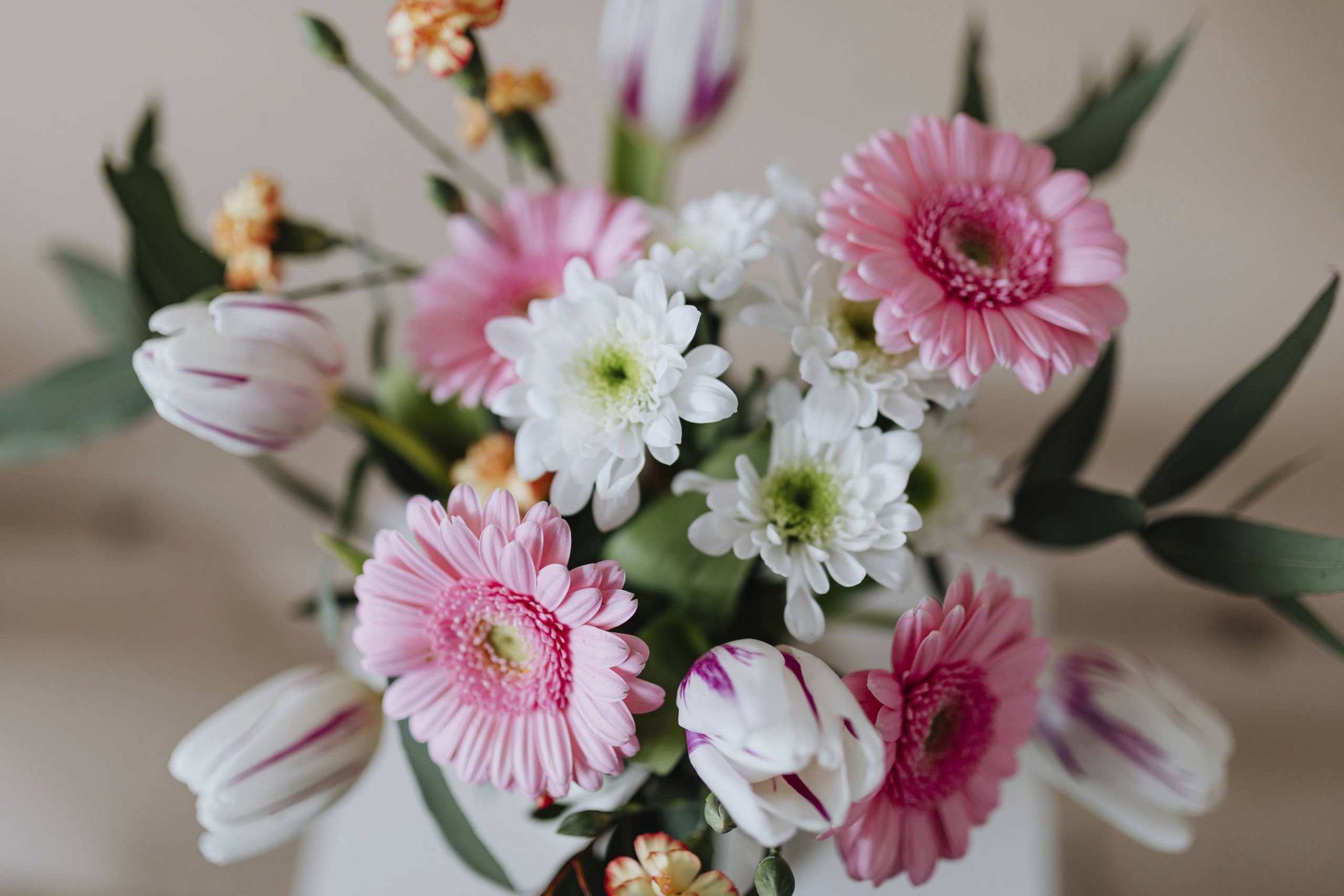 
										spring-flowers-pexels-karolina-grabowska						